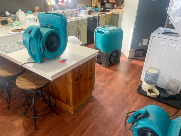 Best Water damage restoration near me  in Gleed, WA