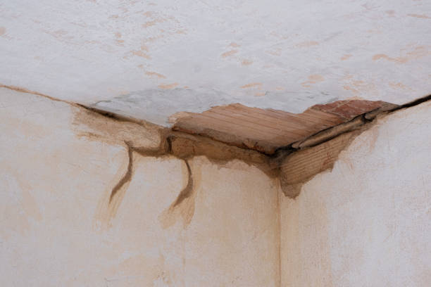 Best Sewage cleanup and water damage restoration  in Gleed, WA