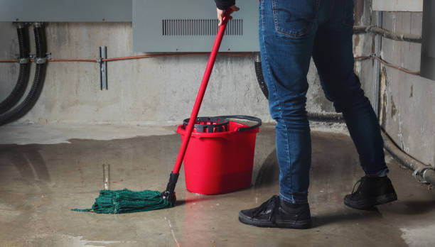 Water damage restoration experts in WA