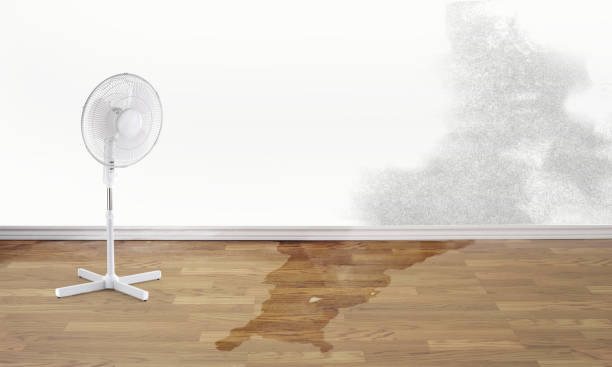Best Emergency water damage restoration  in Gleed, WA