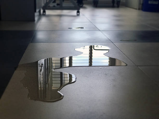 Best 24/7 water damage repair  in Gleed, WA