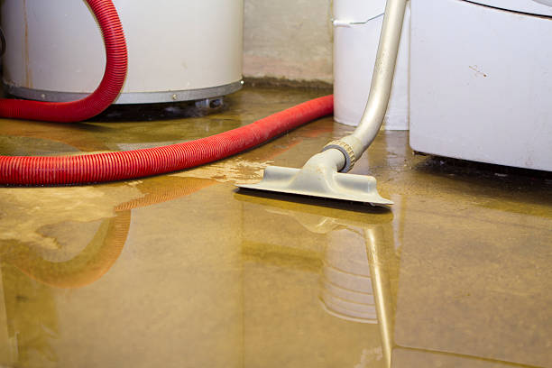 Best Water damage cleanup near me  in Gleed, WA