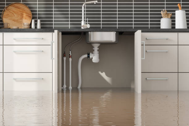 Best Local water damage restoration  in Gleed, WA