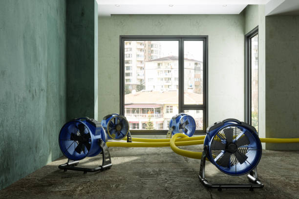 Reliable WA Water damage restoration Solutions