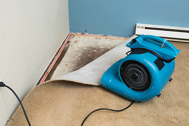 Best Water damage restoration process  in Gleed, WA